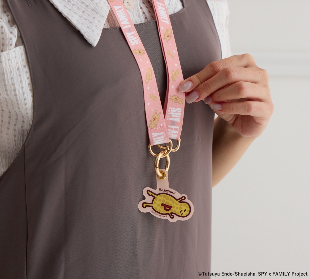 Spy X Family Project Spy X Family 17