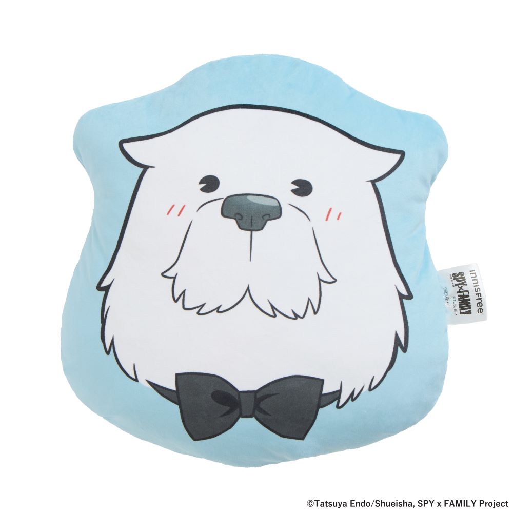 Spy X Family Project Spy X Family 29