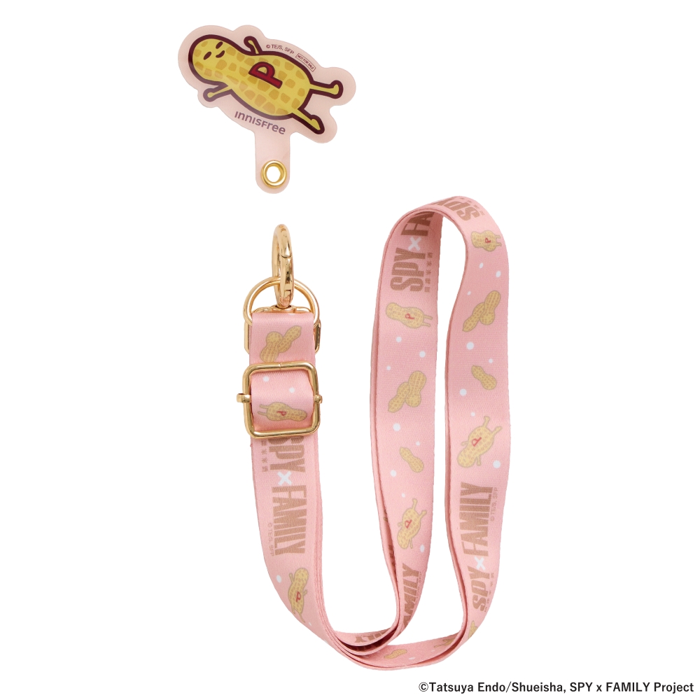 Spy X Family Project Spy X Family 32