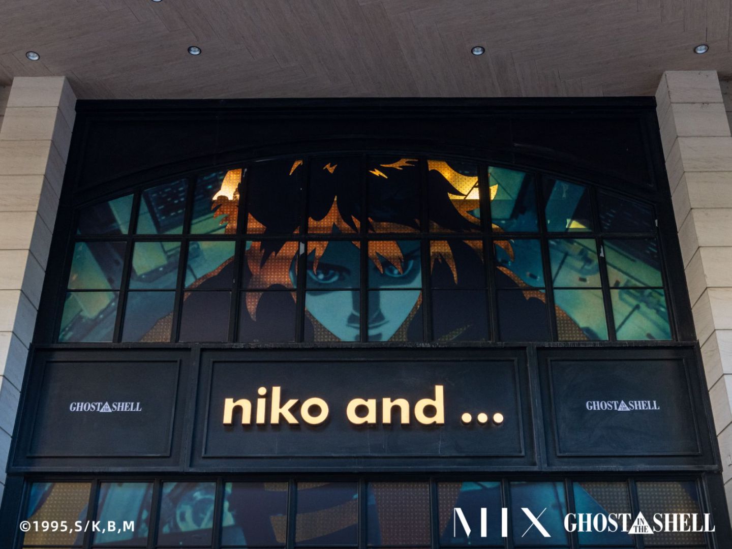 6bd945087k075226ed4097912a2f4543