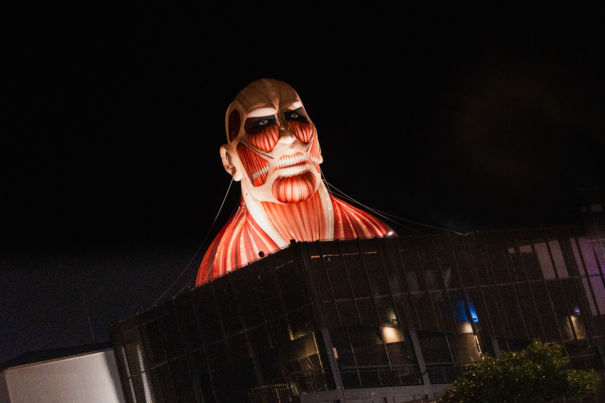 477782684 1050947817067887 5796218204057312980 N