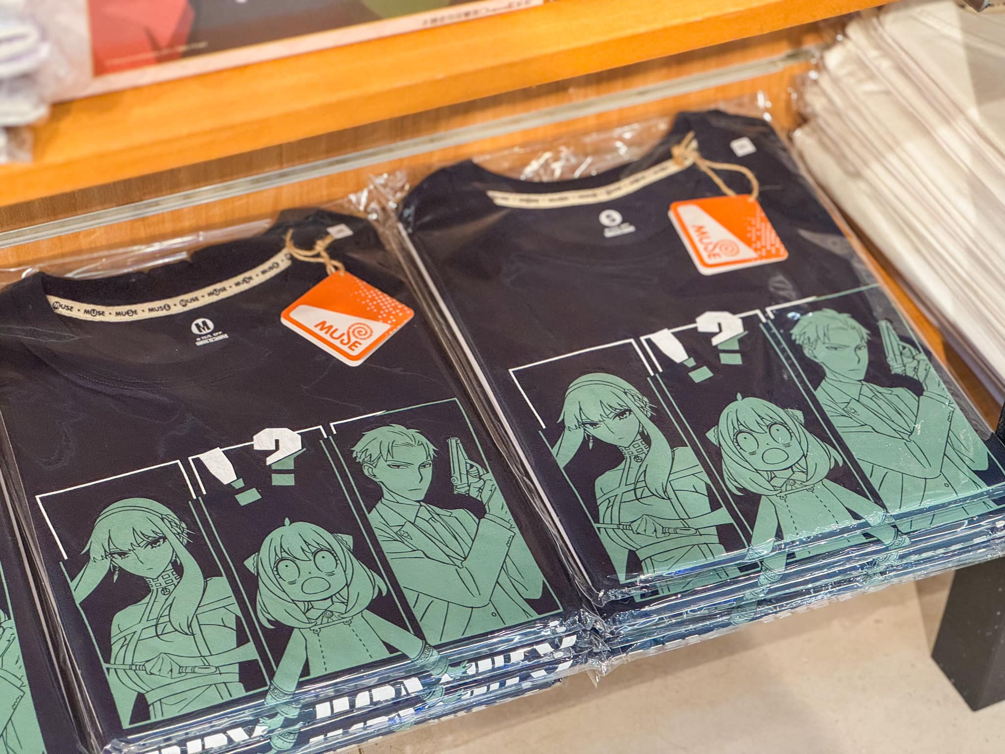 489418718 1069887138508075 4476224580331151193 N