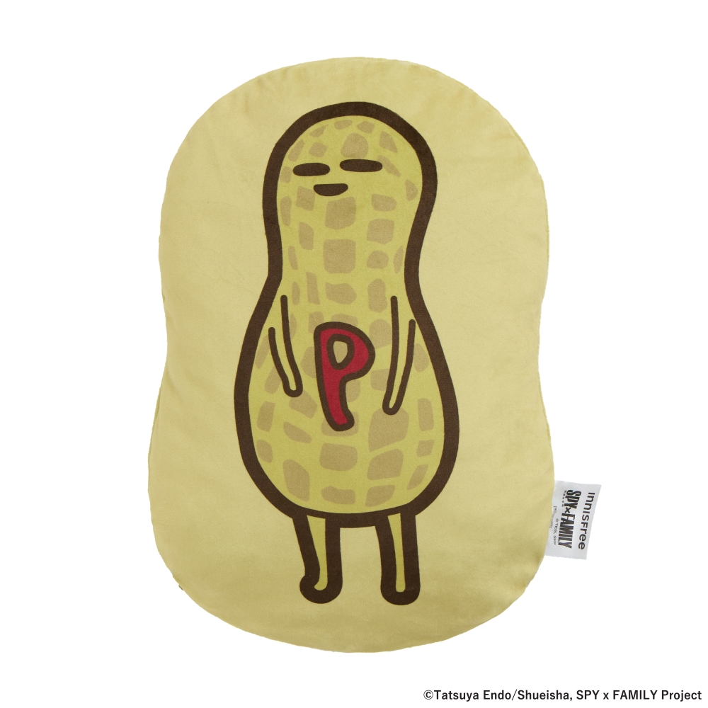 Spy X Family Project Spy X Family 30