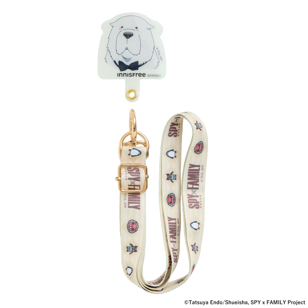 Spy X Family Project Spy X Family 31