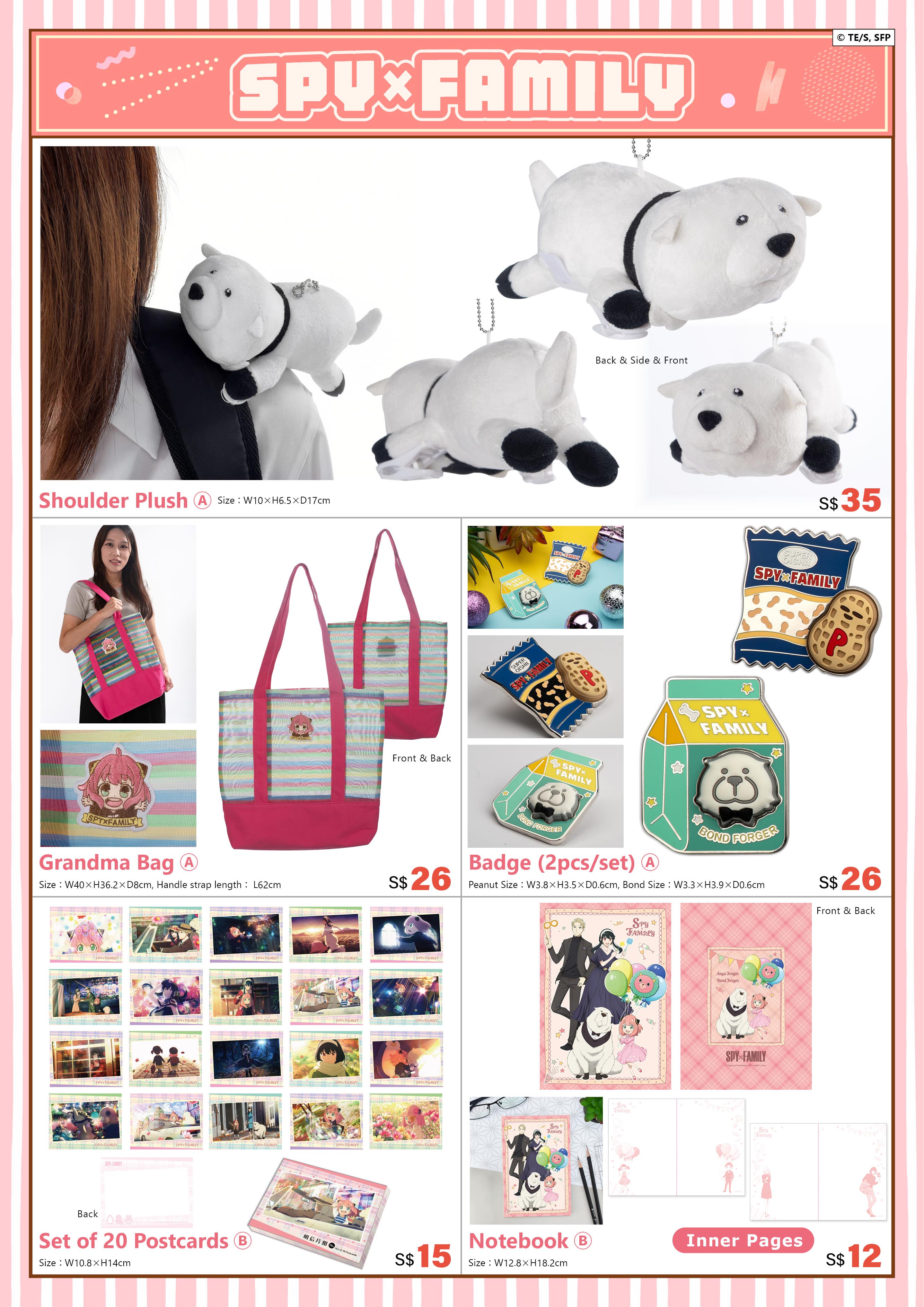 2025新加坡afa 電子特刊 完稿7